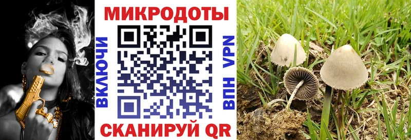 Галлюциногенные грибы Psilocybine cubensis  Электрогорск 