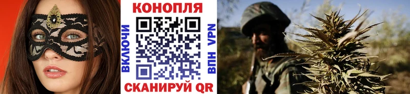 кракен зеркало  Электрогорск  Шишки марихуана марихуана 